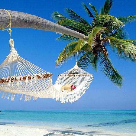 Affordable Two Bedroom Tropical Condo - Private Beach, Pools, Hot Tub St. Petersburg Extérieur photo