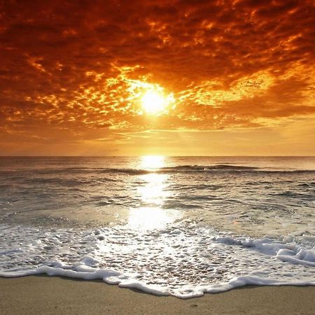Affordable Two Bedroom Tropical Condo - Private Beach, Pools, Hot Tub St. Petersburg Extérieur photo