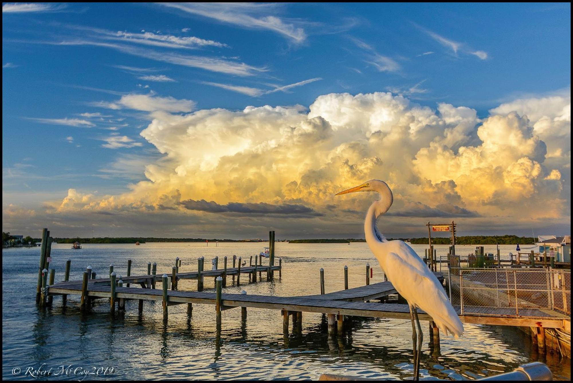 Affordable Two Bedroom Tropical Condo - Private Beach, Pools, Hot Tub St. Petersburg Extérieur photo